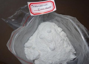 White Powder Muscle Mass Testosterone Enanthate , 315 37 7 Male Hormone Testosterone