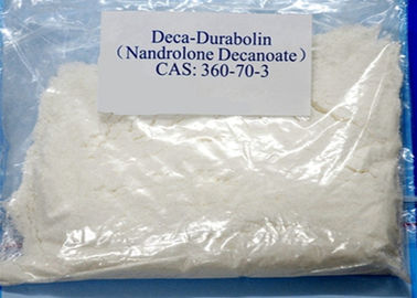 Steroïden 99,0% Analyse Deca Durabolin Nandrolone Decanoate van het Bodybuildings Vette Verlies 