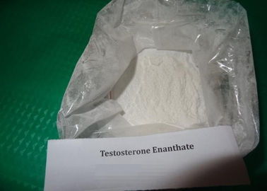 Muscle Gain Steroids Testosterone Enanthate Powder Test Enanthate Enhancement