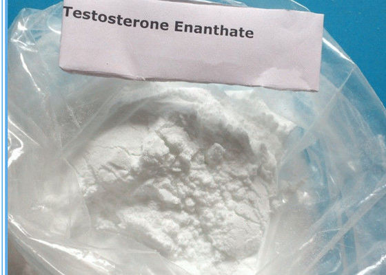 High purity Testosterone Steroids Powder Testosterone Enanthate CAS 315-37-7 For Bodybuilder